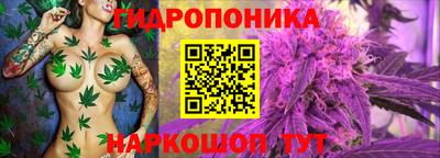 дурь Севастополь