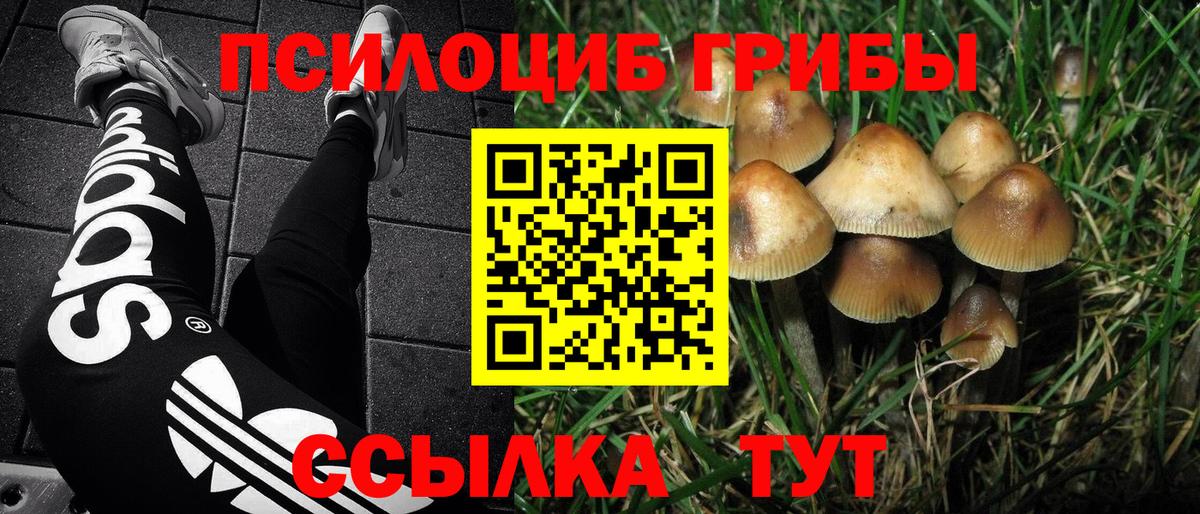 наркота  Псилоцибиновые грибы MAGIC MUSHROOMS  Вход с VPN  Новый Уренгой  Галлюциногенные грибы GOLDEN TEACHER 